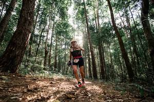 BIB: 
                            <button type="button" onclick="openModal(25261394)" class="btn btn-primary btn-sm float-right btn-popup" data-toggle="modal" data-target=".modal-high-quality">
                        <i class="fas fa-shopping-cart"></i> Add to Cart
                    </button>
                                            <button type="button" onclick="isThisMe(25261394, true)" class="btn btn-success btn-sm float-right btn-popup btn-isme hidden" data-toggle="tooltip" data-placement="bottom" title="นี่คือรูปของคุณใช่ไหม คลิกที่นี่เพื่อเอาเข้าอัลบั้ม">
                        <i class="fas fa-plus"></i> Add to album
                    </button>
                    <button type="button" onclick="isThisMe(25261394, false)" class="btn btn-warning btn-sm float-right btn-popup btn-isnotme hidden">
                        <i class="fas fa-ban"></i> Remove from album
                    </button>